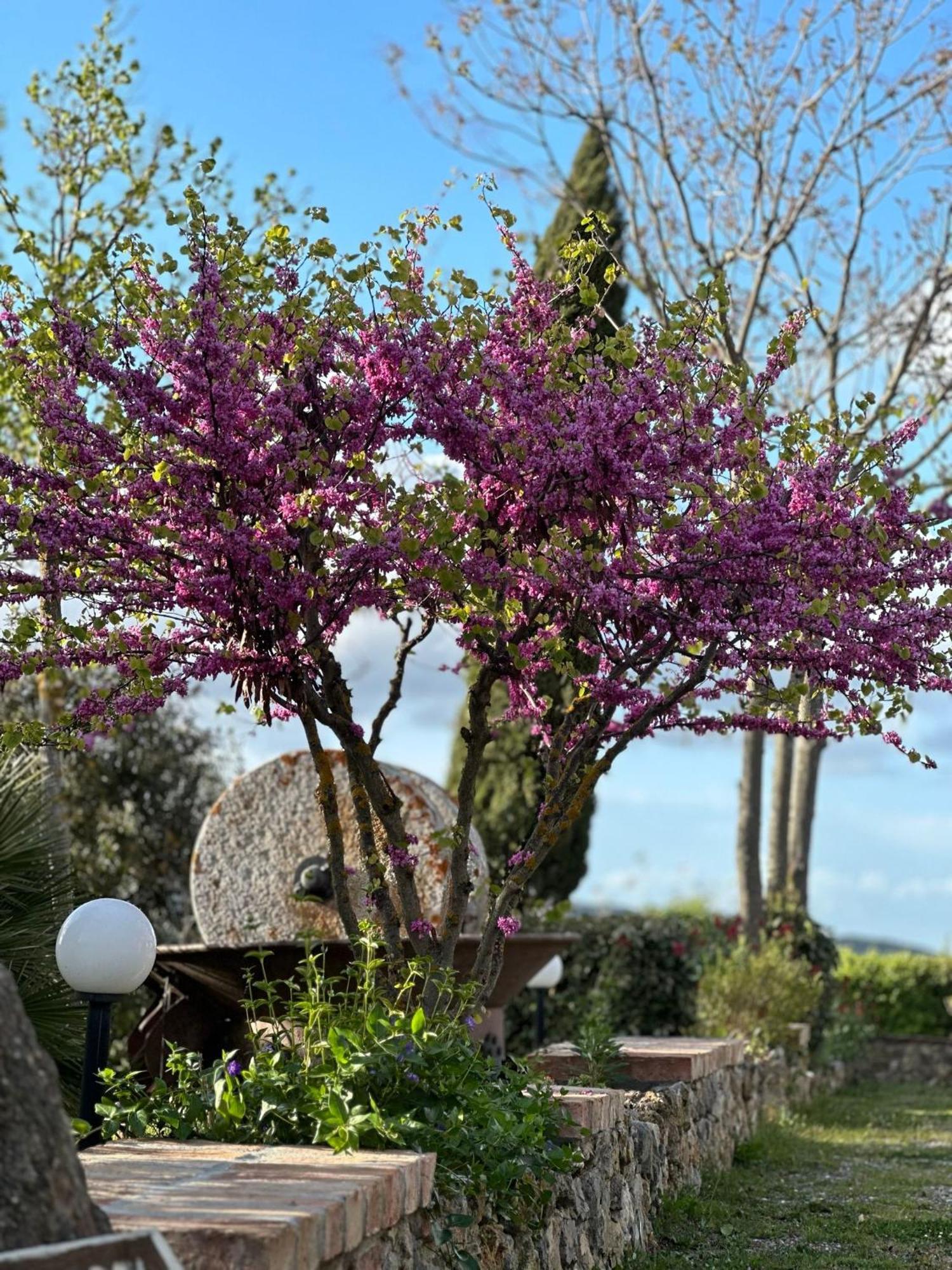 Antico Borgo Il Cardino Bed & Breakfast ซานจีมิญญาโน ภายนอก รูปภาพ