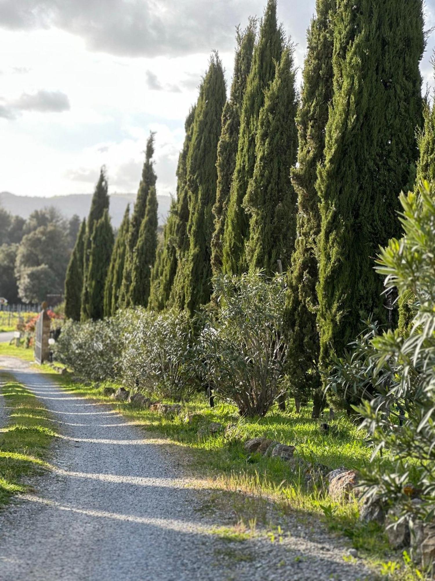 Antico Borgo Il Cardino Bed & Breakfast ซานจีมิญญาโน ภายนอก รูปภาพ